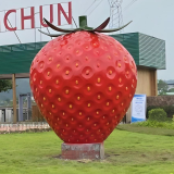 那颗永不腐烂的草莓，在时间里酿着甜蜜的幻觉