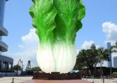 深圳客户定制仿真白菜景观雕塑美化广场景观环境