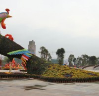 城市广场凤凰绿雕植物雕塑