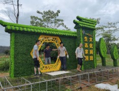 园林绿化装饰绿雕植物雕塑