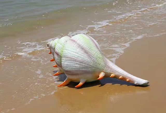 景观海螺雕塑